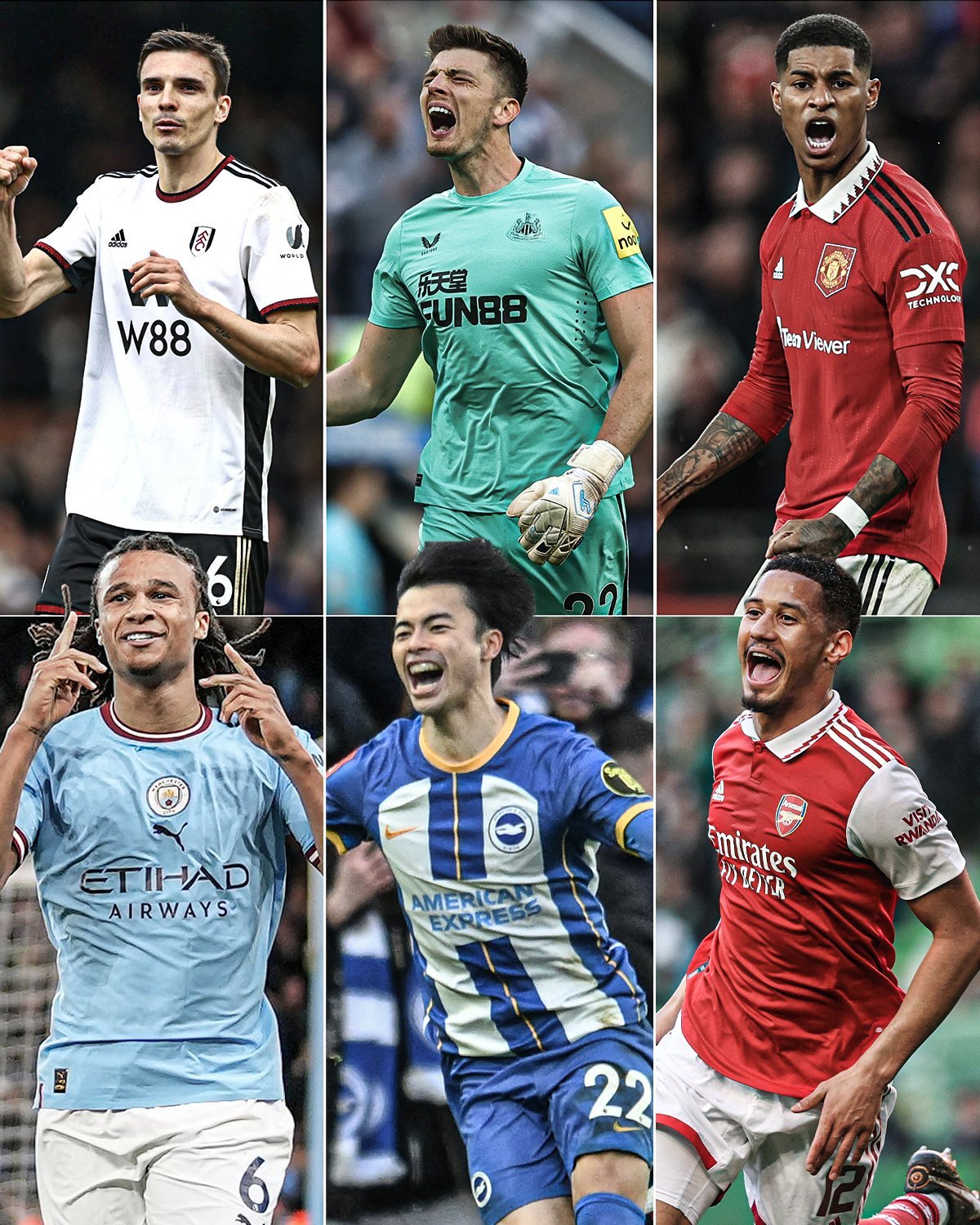 冬窗引进的 冬窗引进的